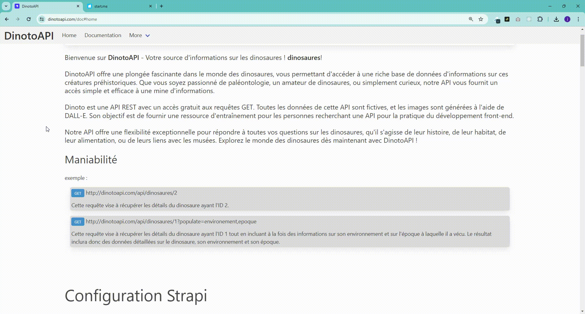 visite animé du site DinotoAPI